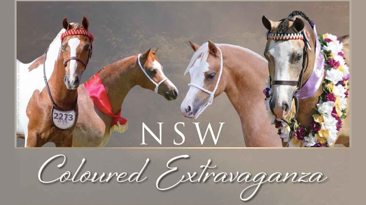 NSW Coloured Extravaganza